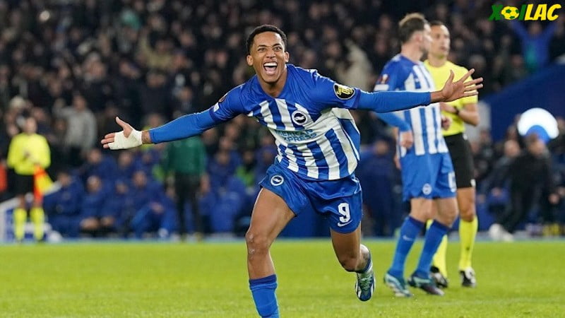 Crystal Palace sẽ có cuộc đối đầu với Brighton trên sân nhà Crystal Palace sẽ có cuộc đối đầu với Brighton trên sân nhà