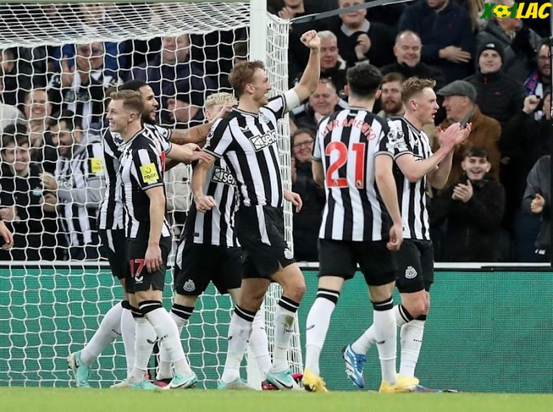 Newcastle sẽ có cơ hội xả giận khi tiếp đón Nottingham trên sân nhà Newcastle sẽ có cơ hội xả giận khi tiếp đón Nottingham trên sân nhà