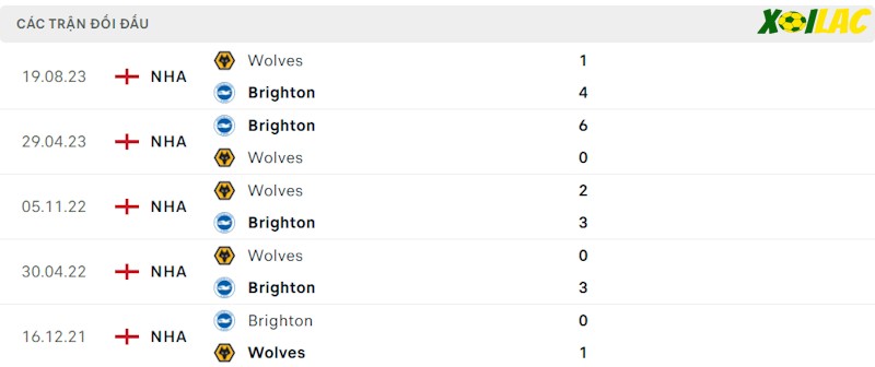 Thành tích đối đầu Brighton vs Wolves