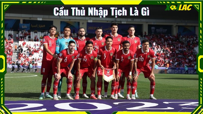 Tìm hiểu thông tin về việc cầu thủ nhập tịch