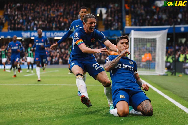 Brighton sẽ đối đầu với Chelsea ở vòng 34 Ngoại Hạng Anh