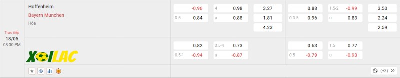 Soi kèo Hoffenheim vs Bayern Munich 18/05/2024 – Tỷ lệ kèo Soi kèo Hoffenheim vs Bayern Munich 18/05/2024 – Tỷ lệ kèo