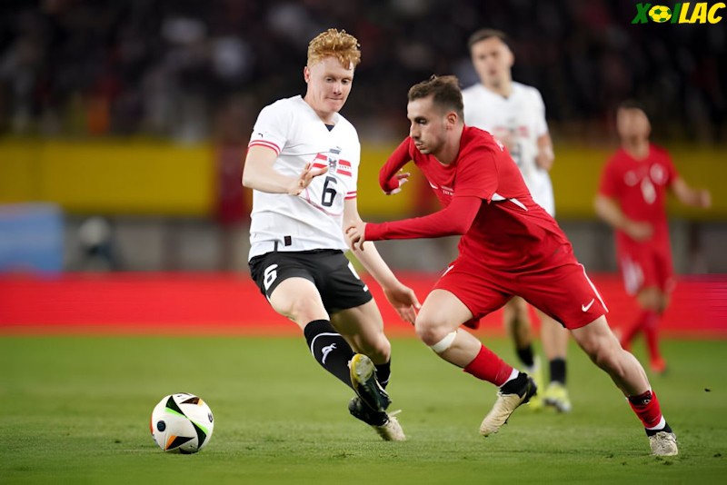 Áo sẽ đối đầu với Thổ Nhĩ Kỳ tại vòng Play Off Euro 2024 Áo sẽ đối đầu với Thổ Nhĩ Kỳ tại vòng Play Off Euro 2024