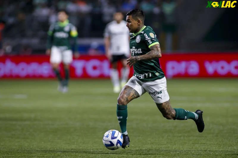 Palmeiras SP sẽ đối đầu với Vasco Da Gama trên sân nhà