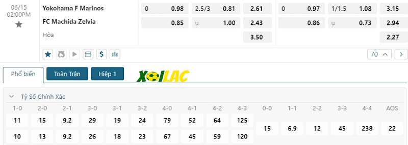 Soi kèo Yokohama FM vs Machida Zelvia 15/06/2024 – Tỷ lệ kèo Soi kèo Yokohama FM vs Machida Zelvia 15/06/2024 – Tỷ lệ kèo