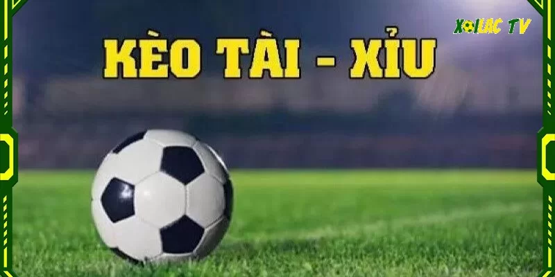 Cá cược cùng kèo tài xỉu trong tỷ lệ kèo tv