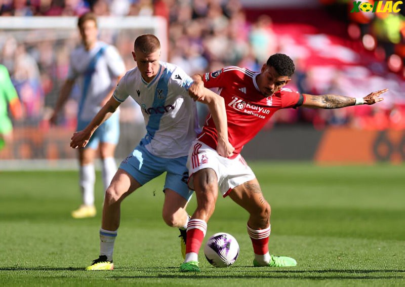 Nottingham Forest sẽ đối đầu với Crystal Palace trên sân nhà Nottingham Forest sẽ đối đầu với Crystal Palace trên sân nhà