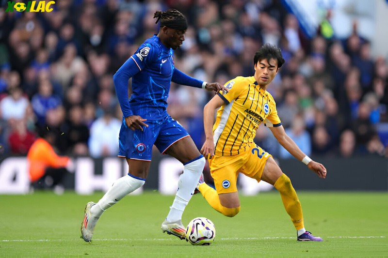 Brighton sẽ tiếp đón Chelsea trên sân nhà tại vòng 25 Ngoại Hạng Anh Brighton sẽ tiếp đón Chelsea trên sân nhà tại vòng 25 Ngoại Hạng Anh